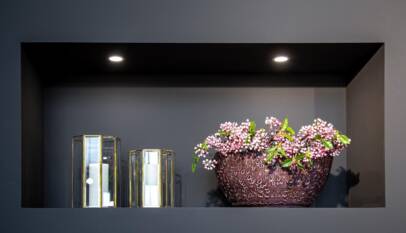 dimmable downlights